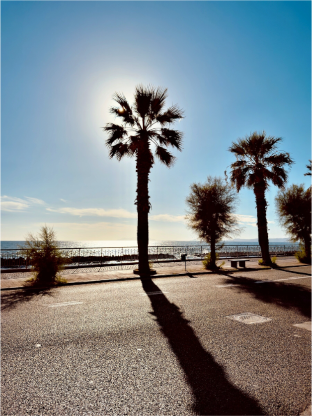 Main image Palma, Naples 2025