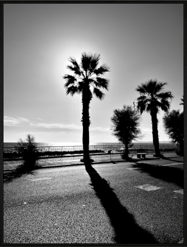 Main image Palma, Naples 2025